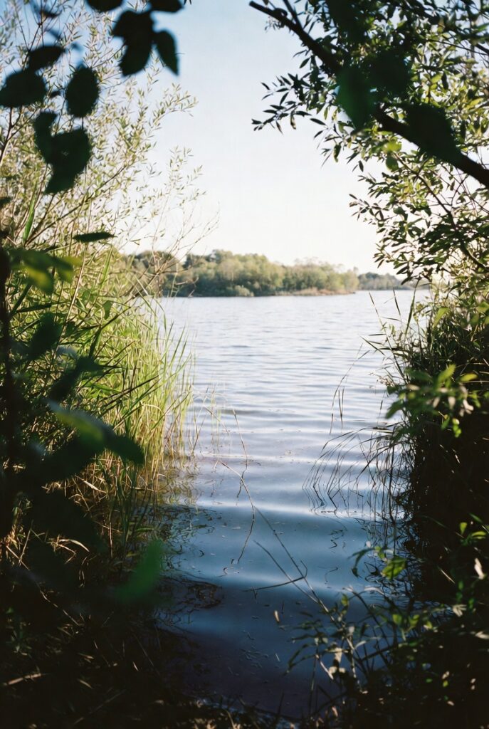 Menjadikan Hari Libur sebagai Waktu untuk Mengisi Ulang Suasana